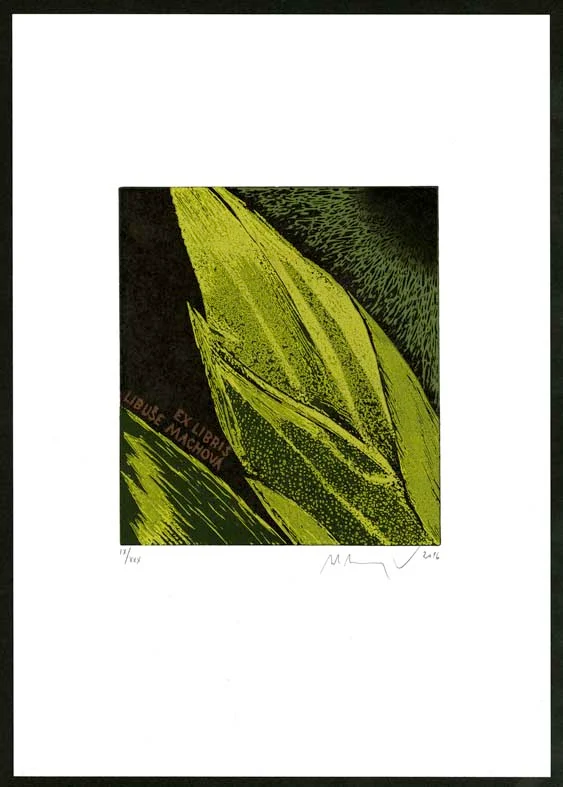Náhledový obrázek předmětu exlibris