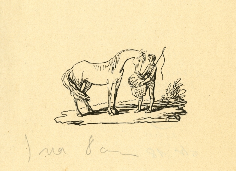 Náhledový obrázek Ilustrace - Hvězdy nad Krasem - 1