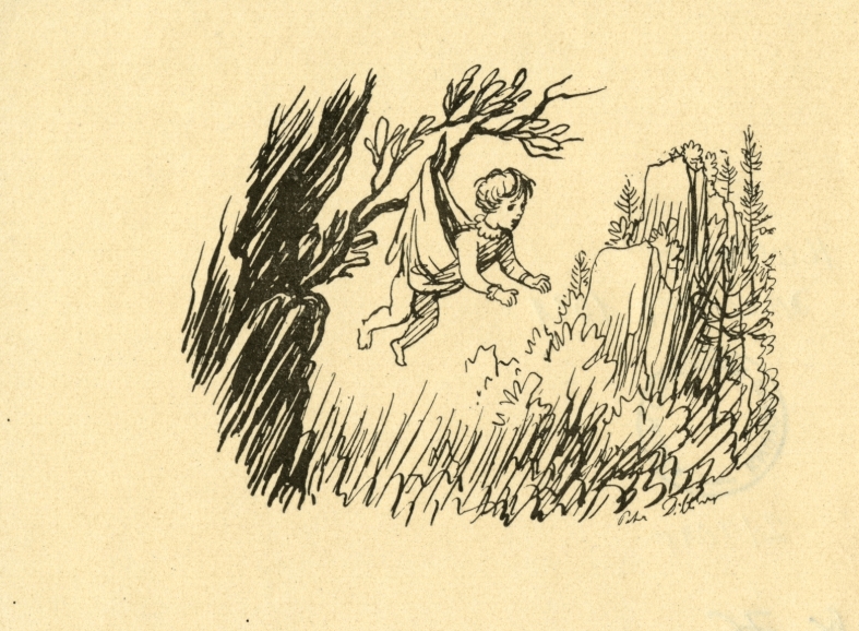 Náhledový obrázek Ilustrace - Hvězdy nad Krasem - 1