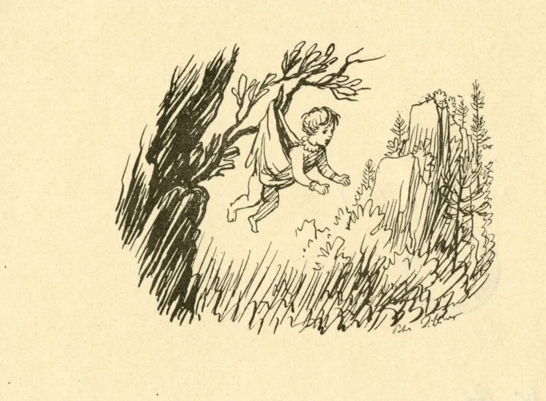 Obrázek Ilustrace - Hvězdy nad Krasem