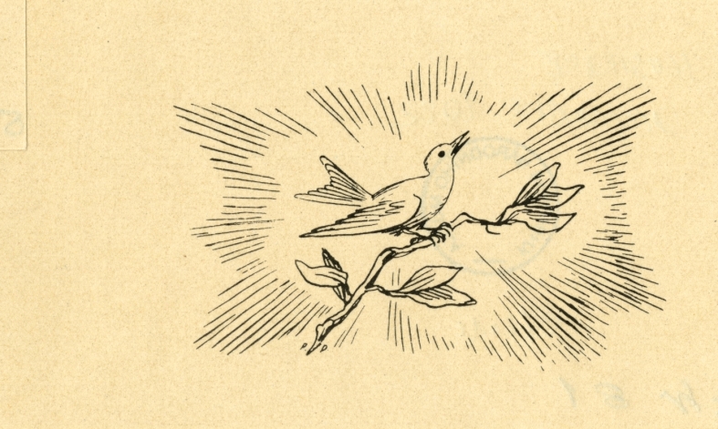 Náhledový obrázek Ilustrace - Hvězdy nad Krasem - 1
