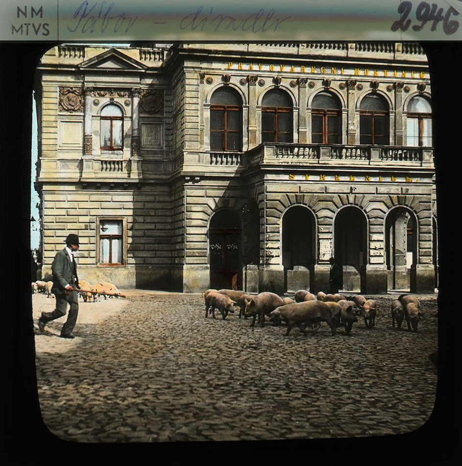Náhledový obrázek Tábor - 1