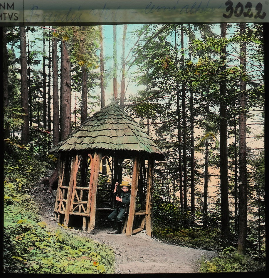 Náhledový obrázek Brandýs nad Orlicí - 1