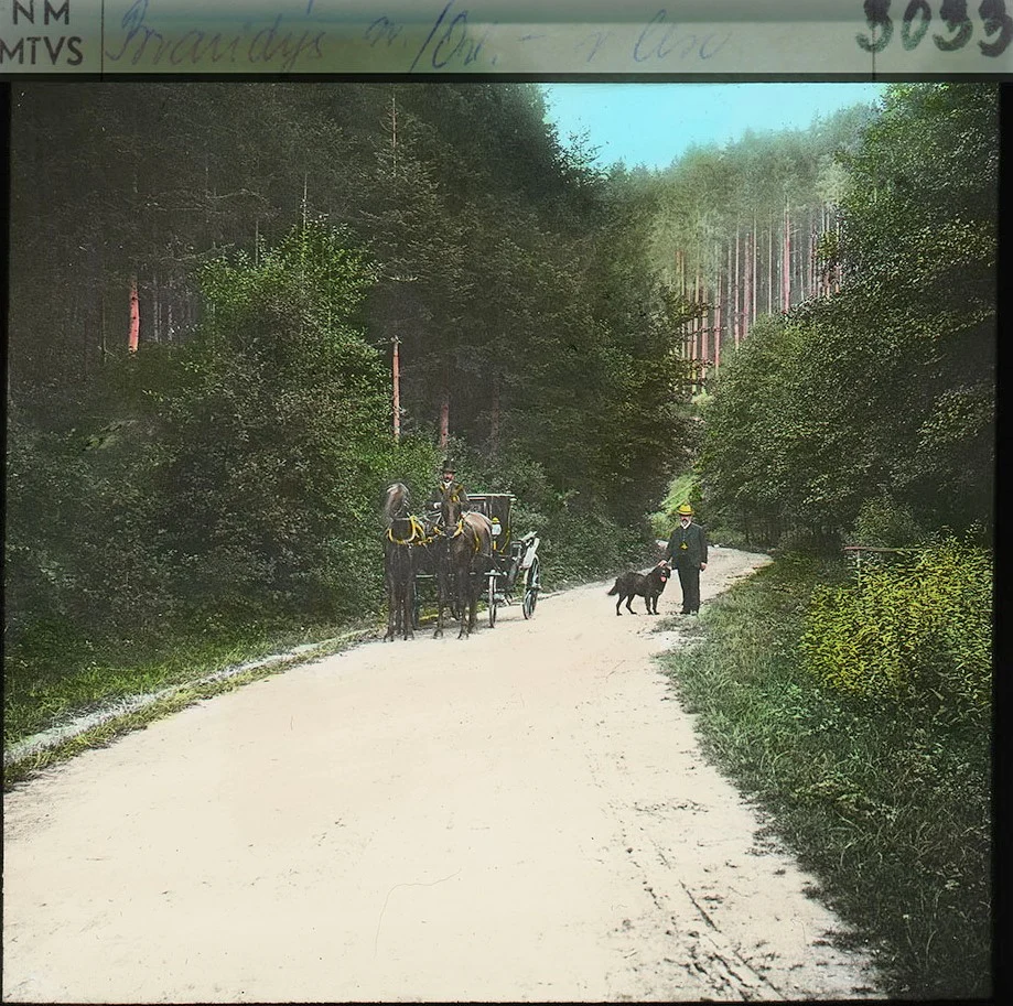 Obrázek Brandýs nad Orlicí