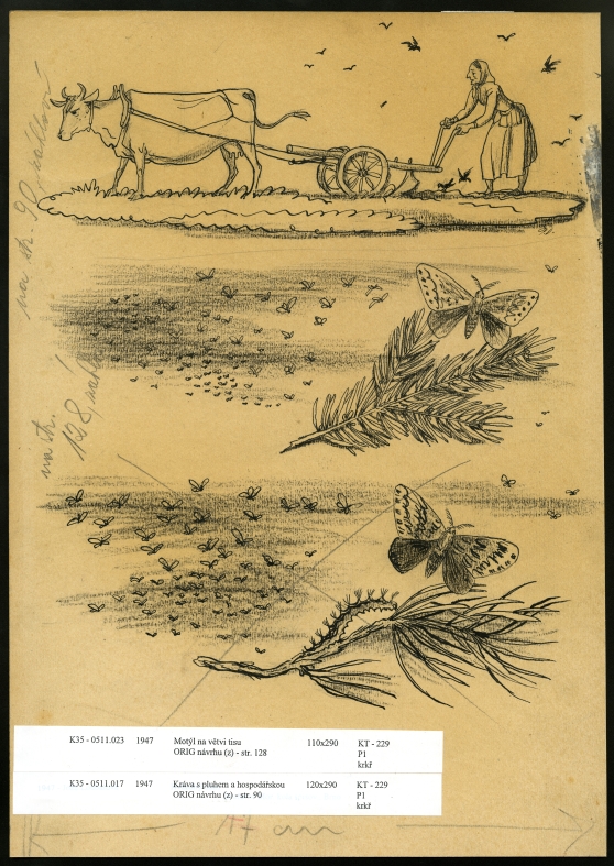 Náhledový obrázek Ilustrace - Hvězdný dům - 1