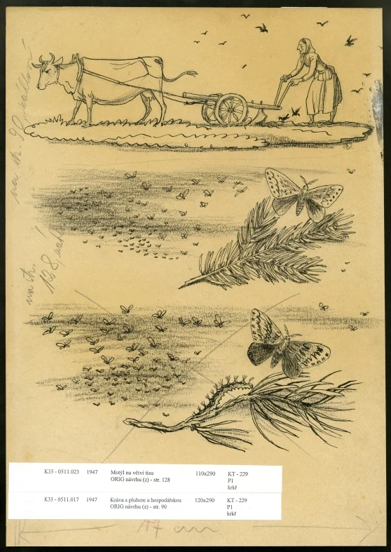Obrázek Ilustrace - Hvězdný dům
