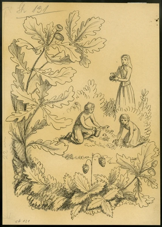 Obrázek Ilustrace - Hvězdný dům