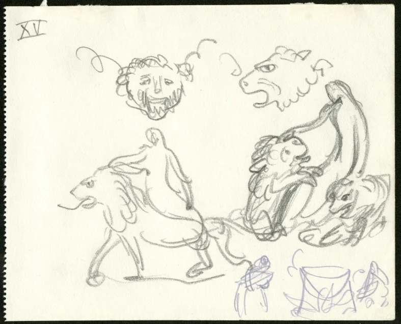 Obrázek Studie k ilustracím - Růže a prsten