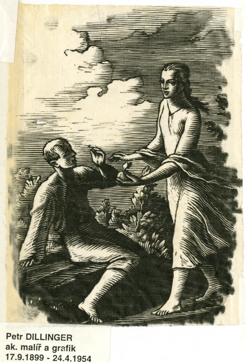Obrázek Nátisk ilustrace - Jezinky