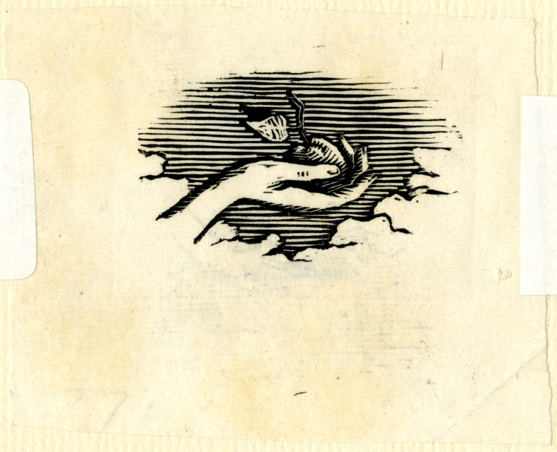 Náhledový obrázek Nátisk ilustrace - Jezinky - 1