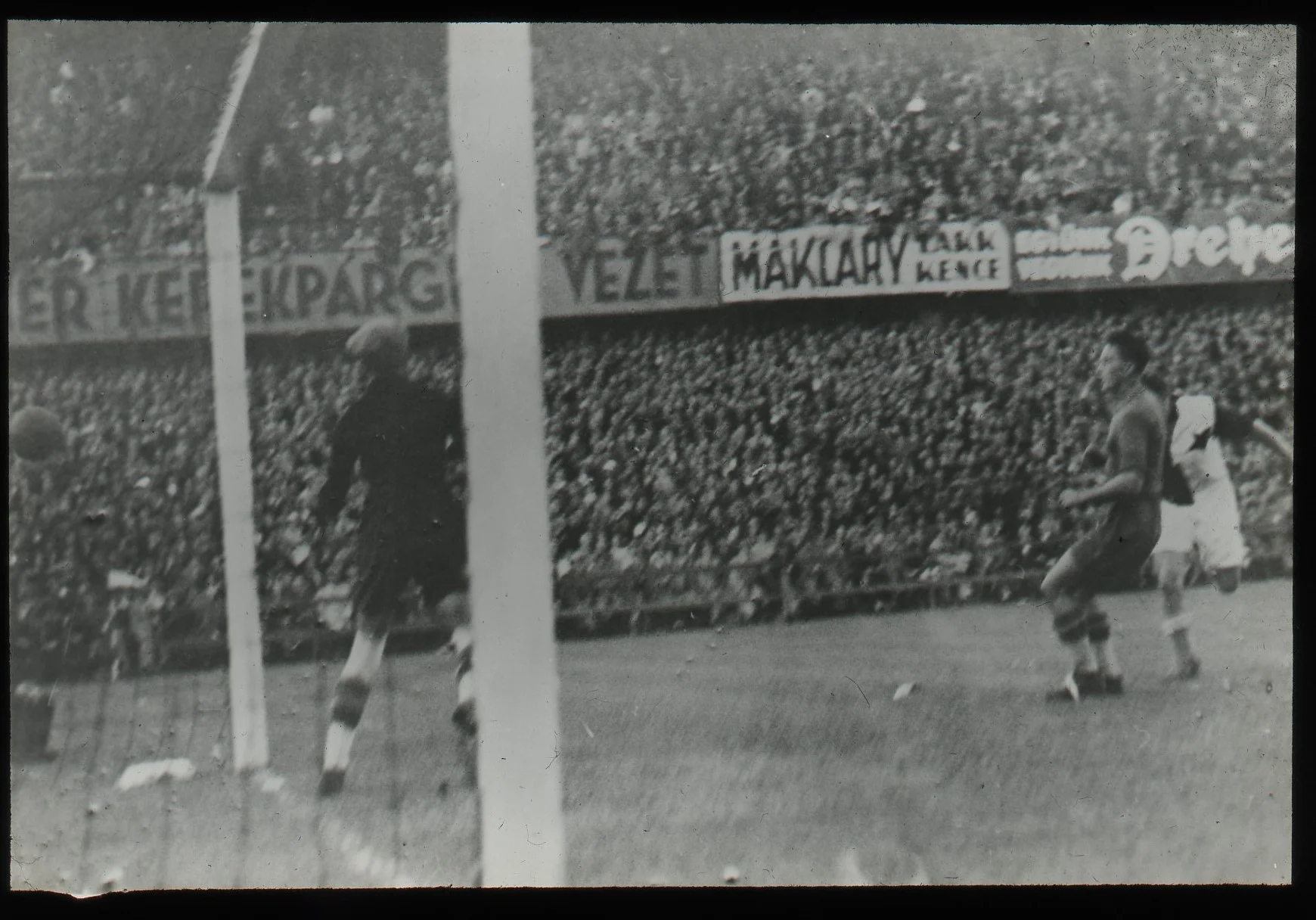 Obrázek Středoevropský pohár
