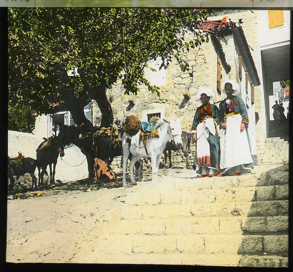 Obrázek Herceg Novi