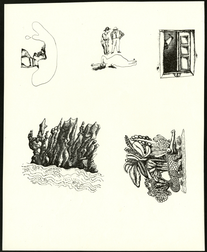 Náhledový obrázek Ilustrace - Ptáci, zvířata a moji příbuzní - 1