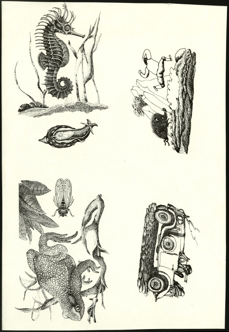Náhledový obrázek Ilustrace - Ptáci, zvířata a moji příbuzní - 1