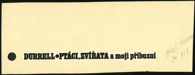 Náhledový obrázek Typografie - Ptáci, zvířata a moji příbuzní - 1