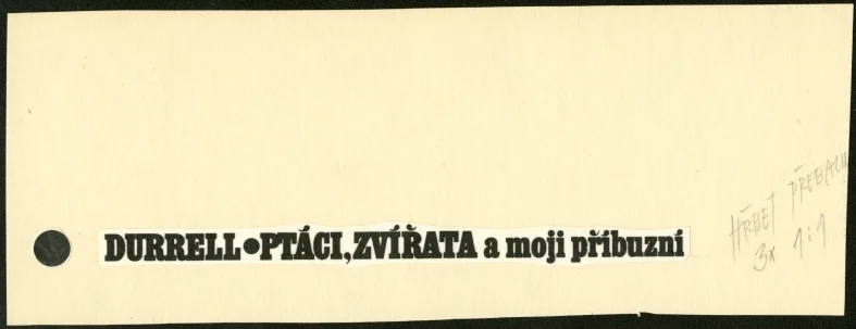 Náhledový obrázek předmětu Typografie - Ptáci, zvířata a moji příbuzní