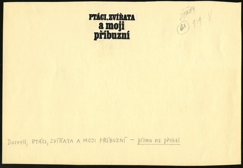 Náhledový obrázek Typografie - Ptáci, zvířata a moji příbuzní - 1