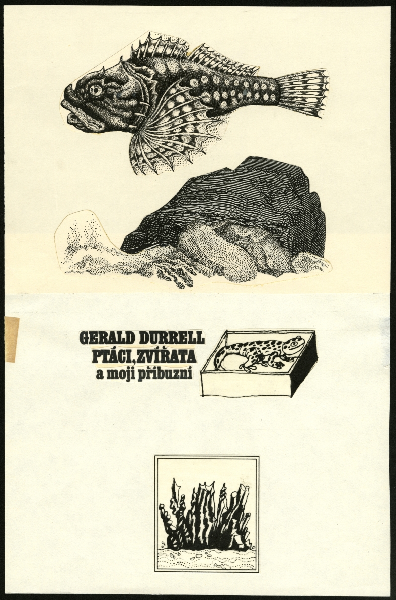Náhledový obrázek Ilustrace a typografie - Ptáci, zvířata a moji příbuzní - 1