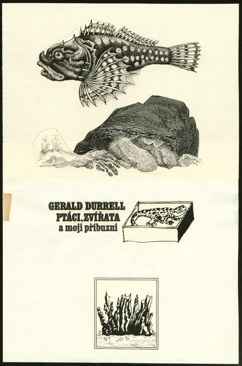 Náhledový obrázek předmětu Ilustrace a typografie - Ptáci, zvířata a moji příbuzní