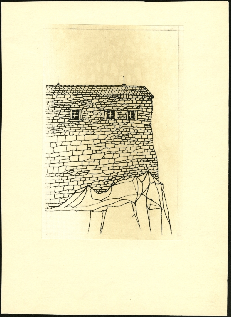Náhledový obrázek Ilustrace - Ptáci, zvířata a moji příbuzní - 1