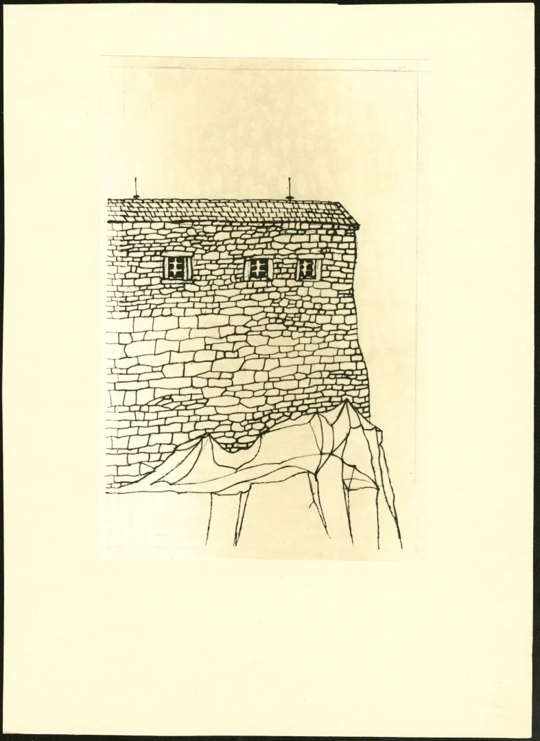 Obrázek Ilustrace - Ptáci, zvířata a moji příbuzní