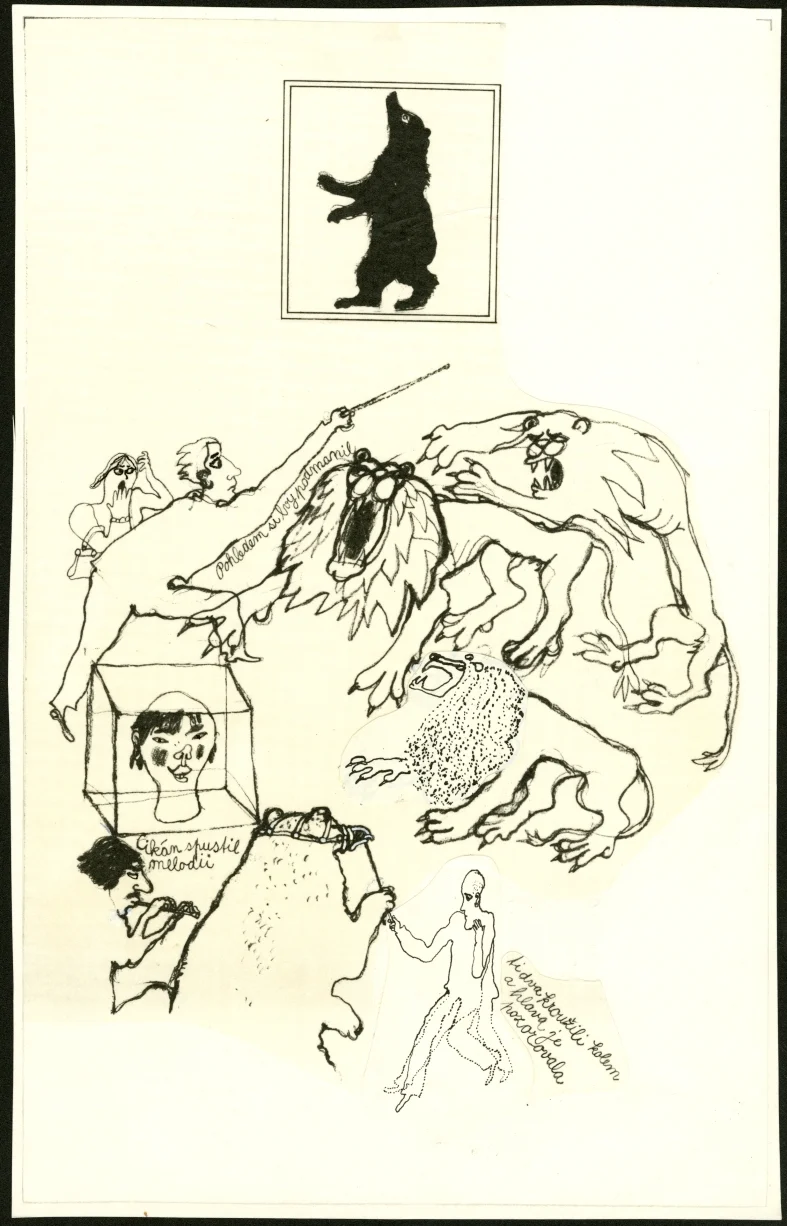 Obrázek Ilustrace - Ptáci, zvířata a moji příbuzní