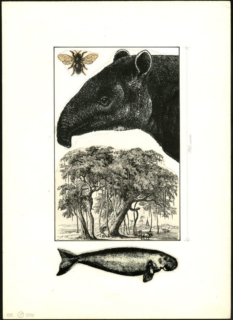 Náhledový obrázek Ilustrace - Indický hlavolam - 1