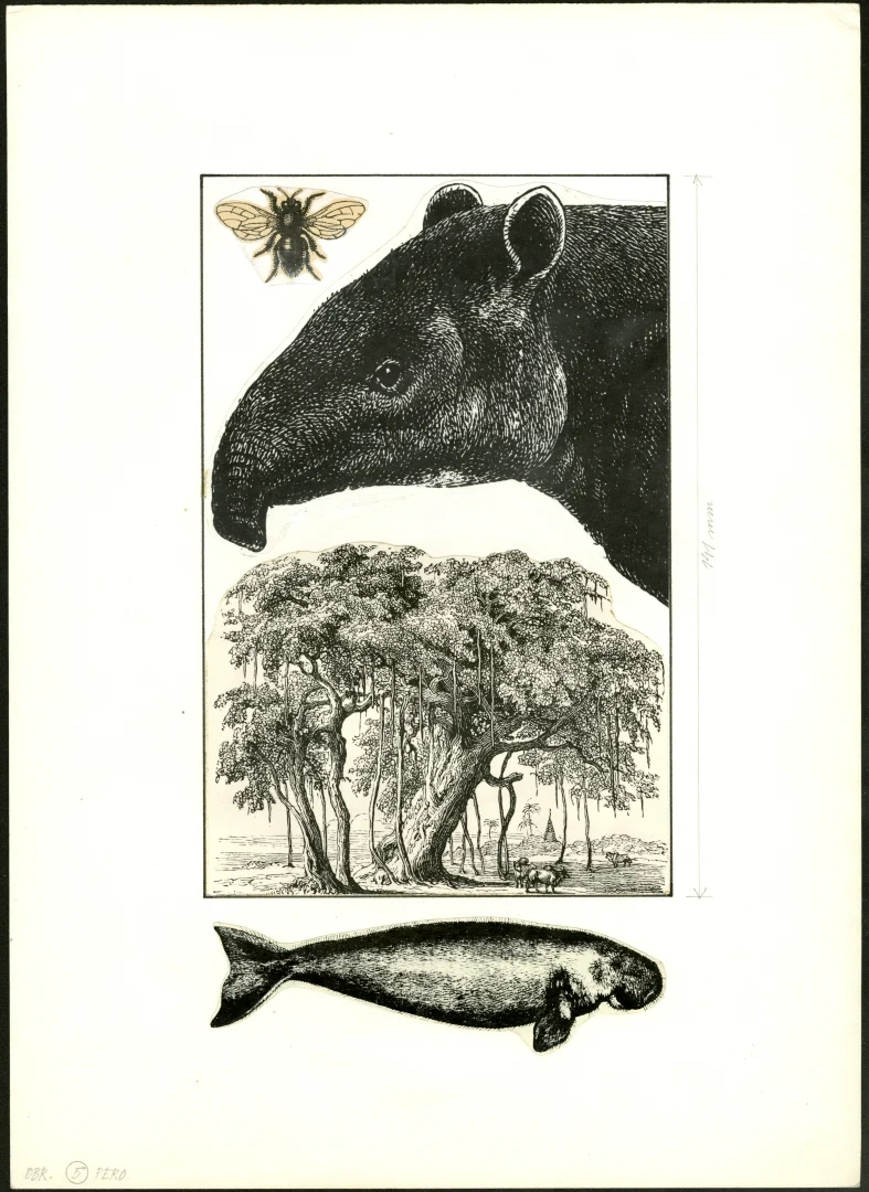 Obrázek Ilustrace - Indický hlavolam