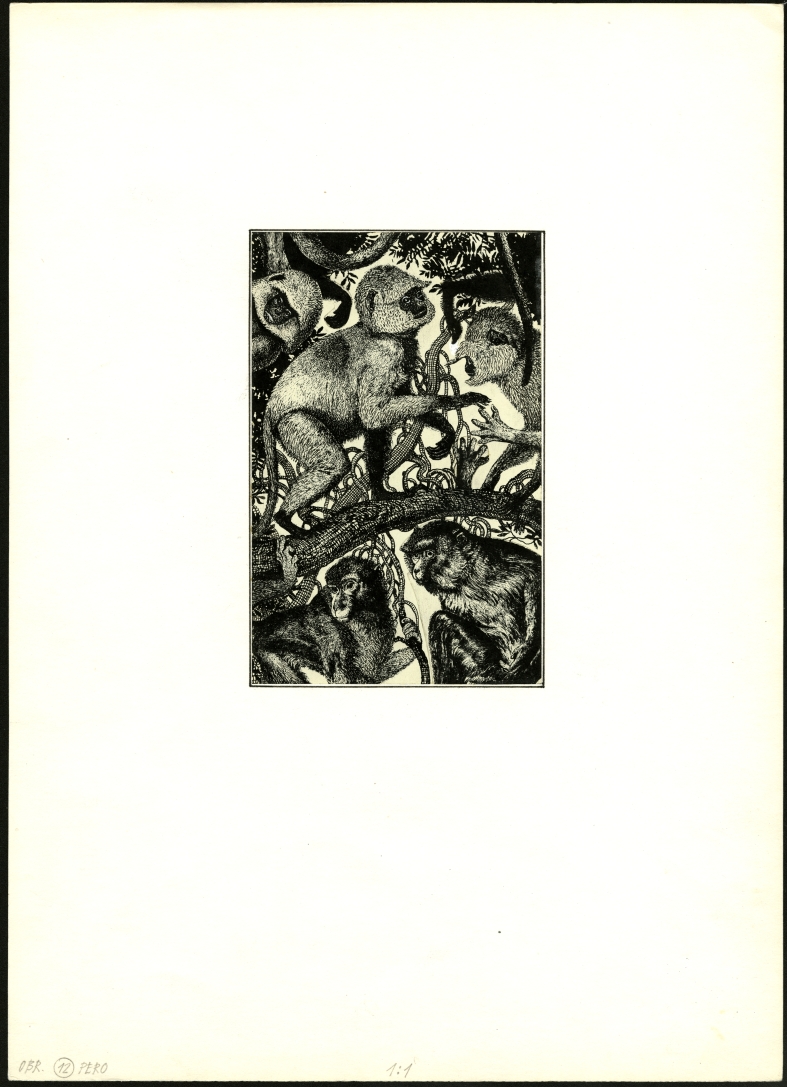 Náhledový obrázek Ilustrace - Indický hlavolam - 1
