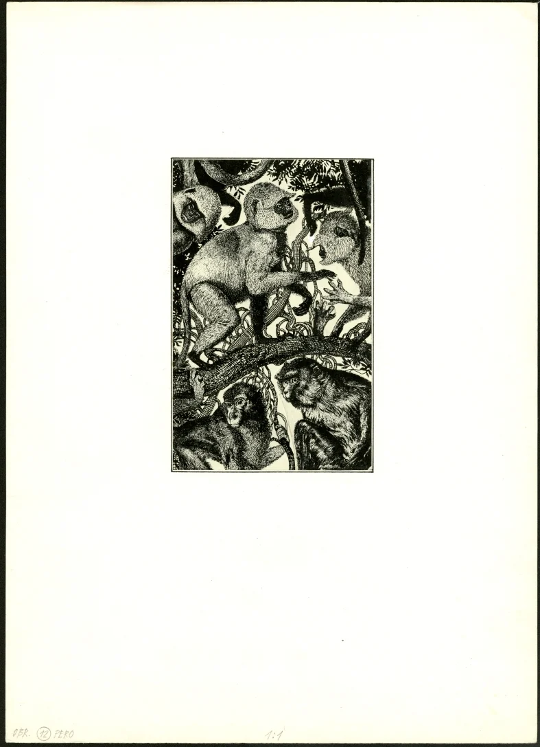 Obrázek Ilustrace - Indický hlavolam