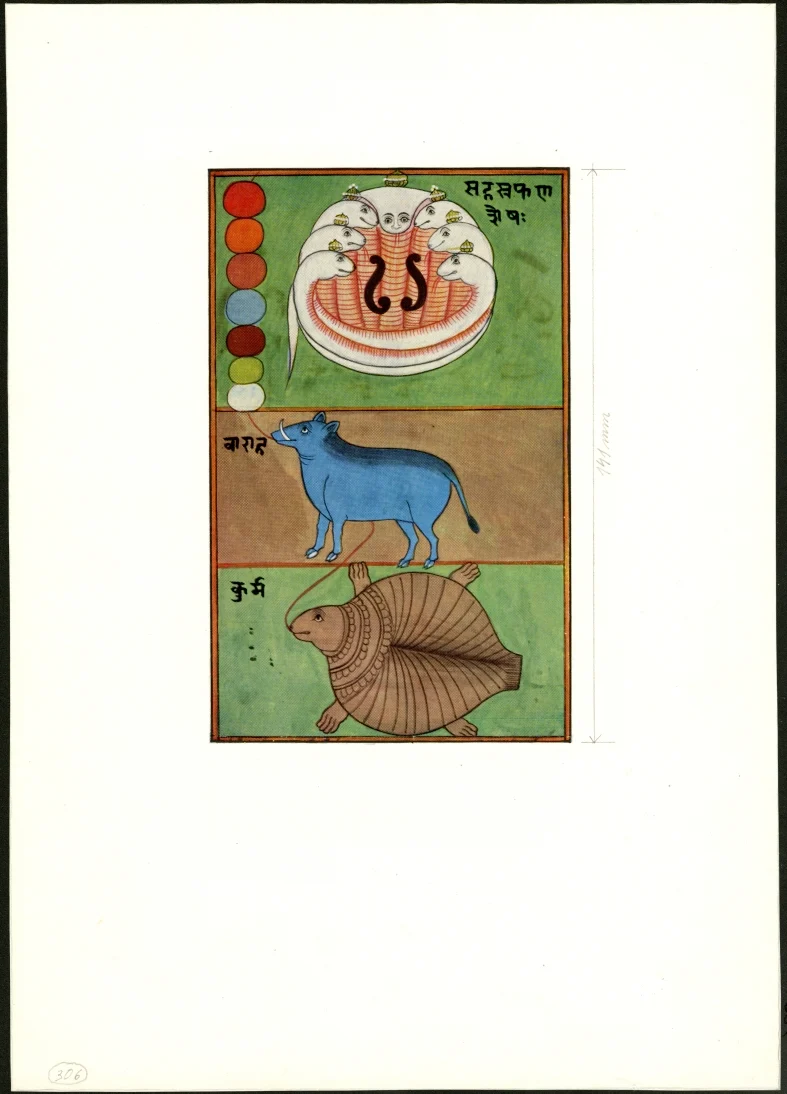 Obrázek Ilustrace - Indický hlavolam