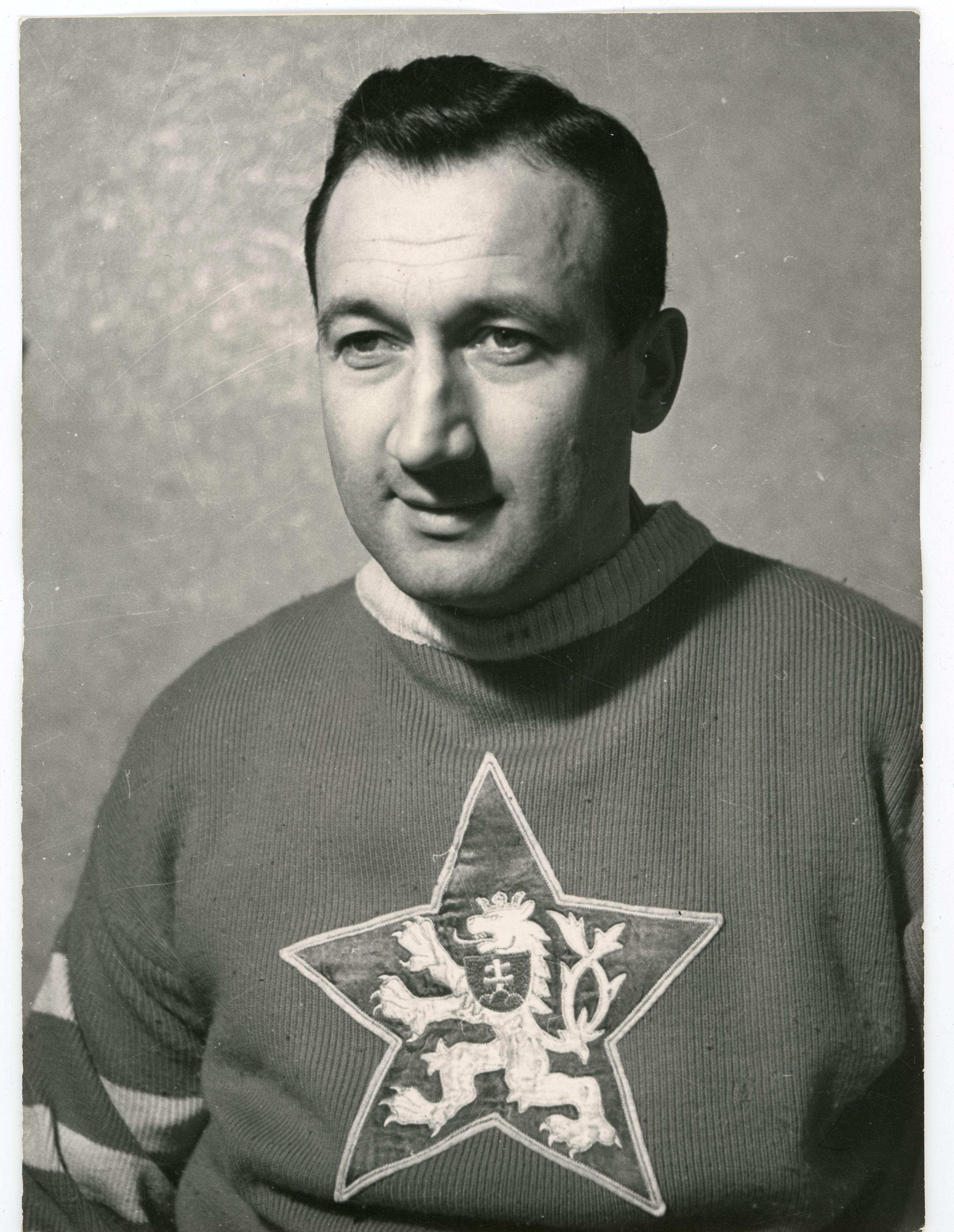 Náhledový obrázek Zábrodský Vladimír - 1