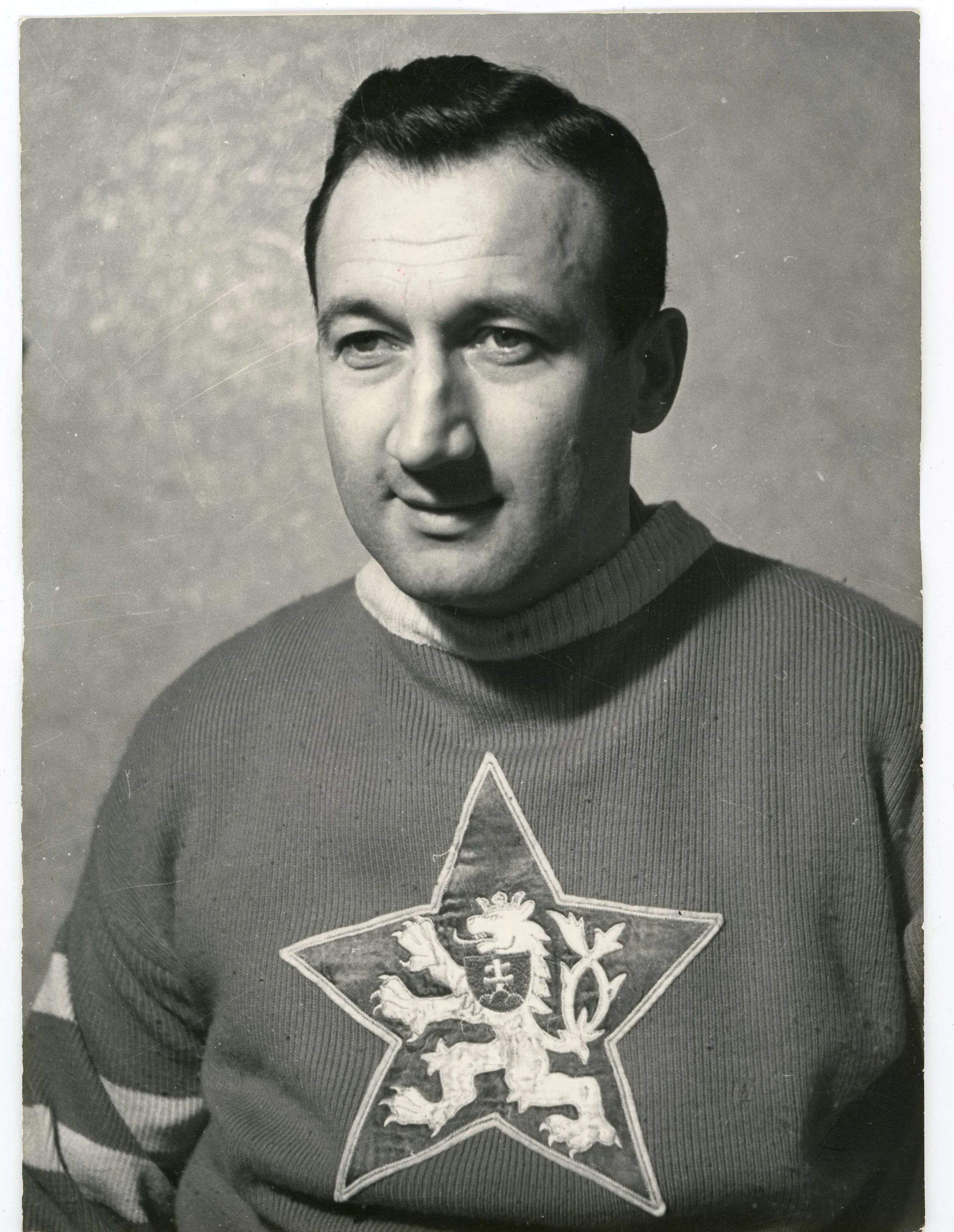 Obrázek Zábrodský Vladimír