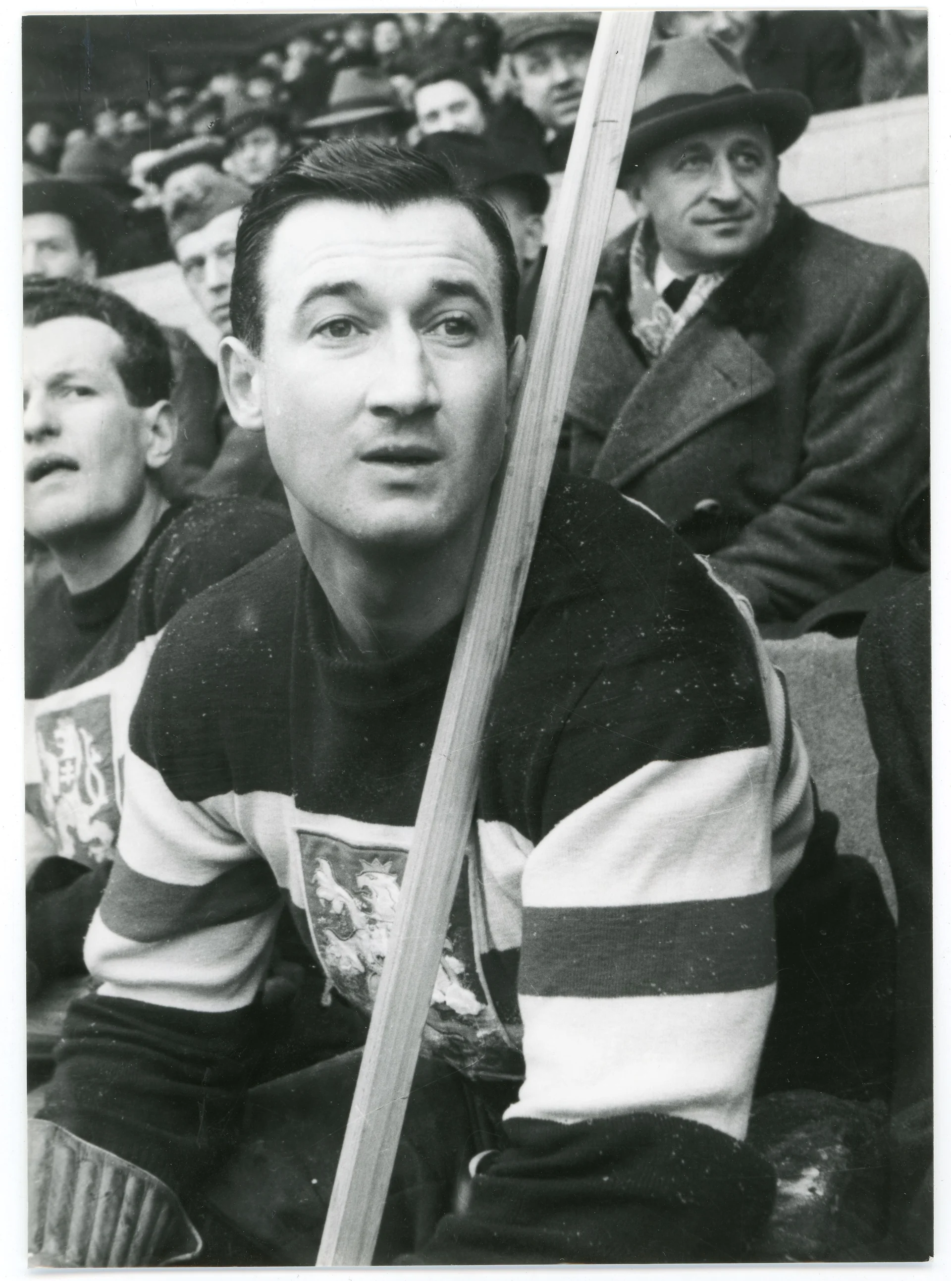 Obrázek Zábrodský Vladimír
