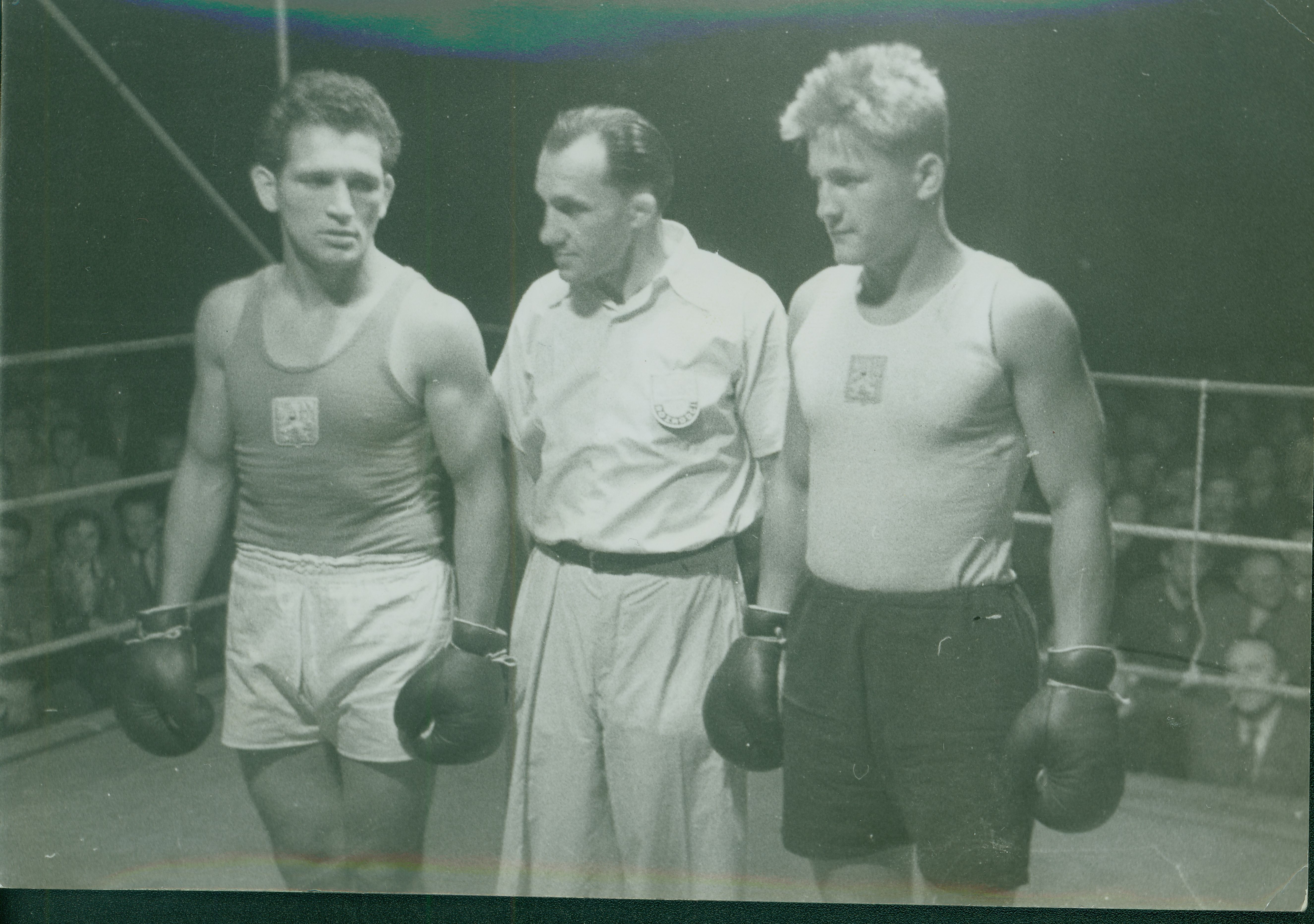 Náhledový obrázek Boxer Július Torma - 1