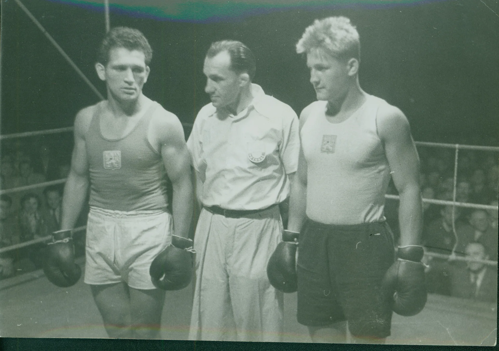 Náhledový obrázek předmětu Boxer Július Torma