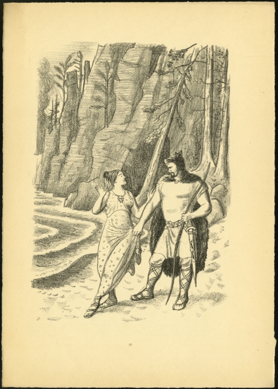 Náhledový obrázek Ilustrace - Penguin Island - 1