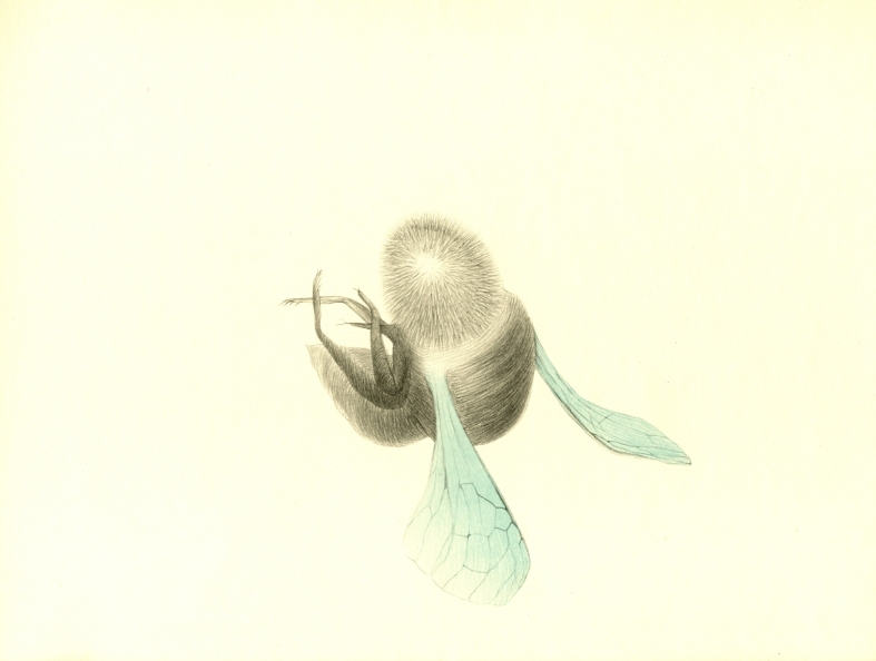 Náhledový obrázek Ilustrace - Atlas saltA - 1
