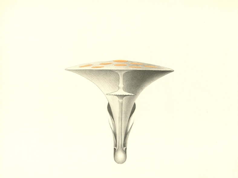 Náhledový obrázek Ilustrace - Atlas saltA - 1