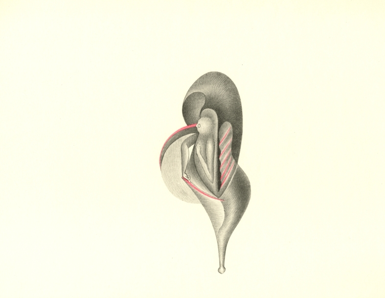 Náhledový obrázek Ilustrace - Atlas saltA - 1