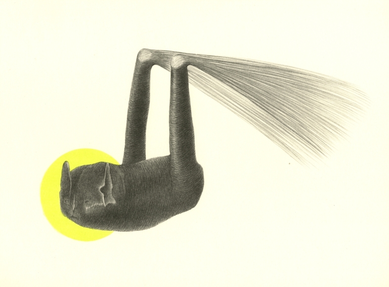 Náhledový obrázek Ilustrace - Atlas saltA - 1