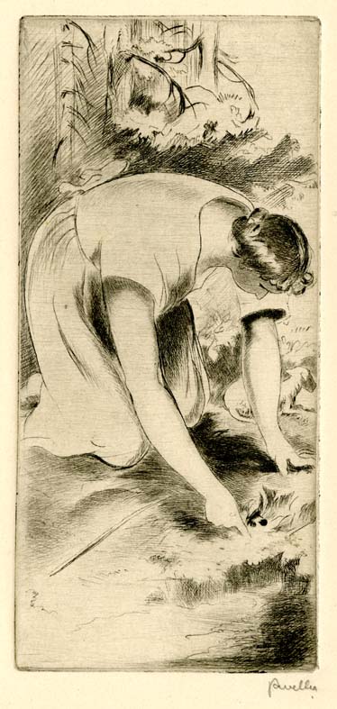 Náhledový obrázek Ilustrace - Panenky - 1