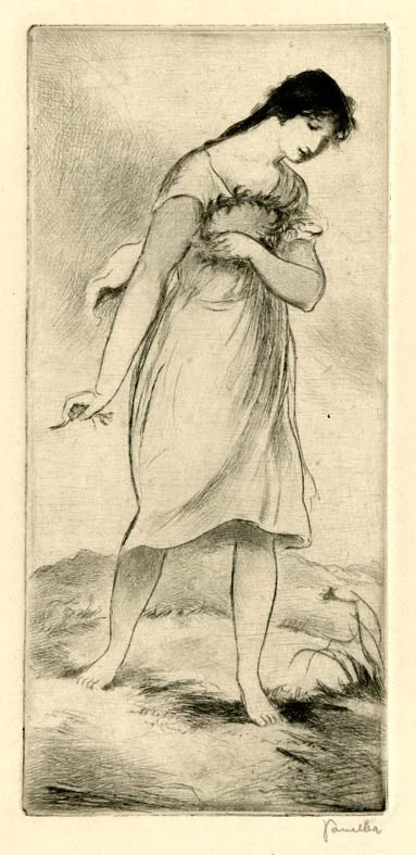 Náhledový obrázek předmětu Ilustrace - Panenky
