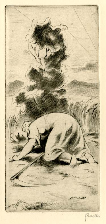 Náhledový obrázek Ilustrace - Panenky - 1