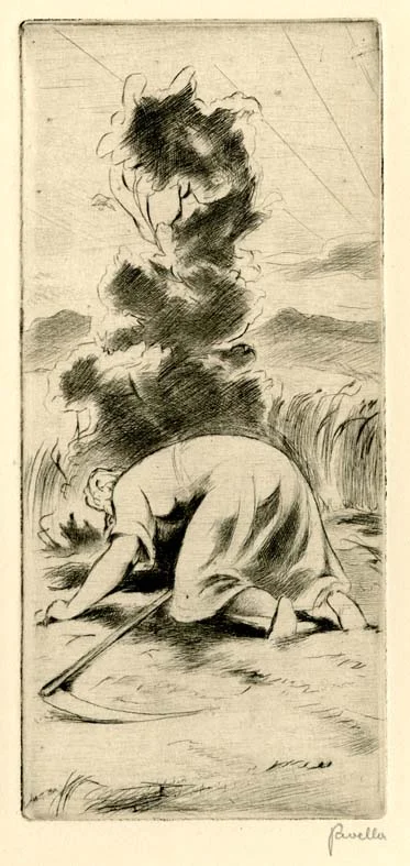 Náhledový obrázek předmětu Ilustrace - Panenky
