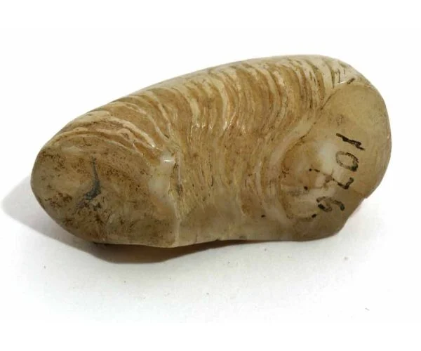 Náhledový obrázek předmětu Kámen
