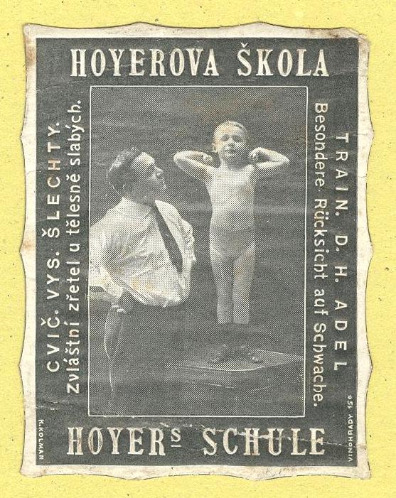 Náhledový obrázek předmětu Hoyerova škola. Reklamní nálepka