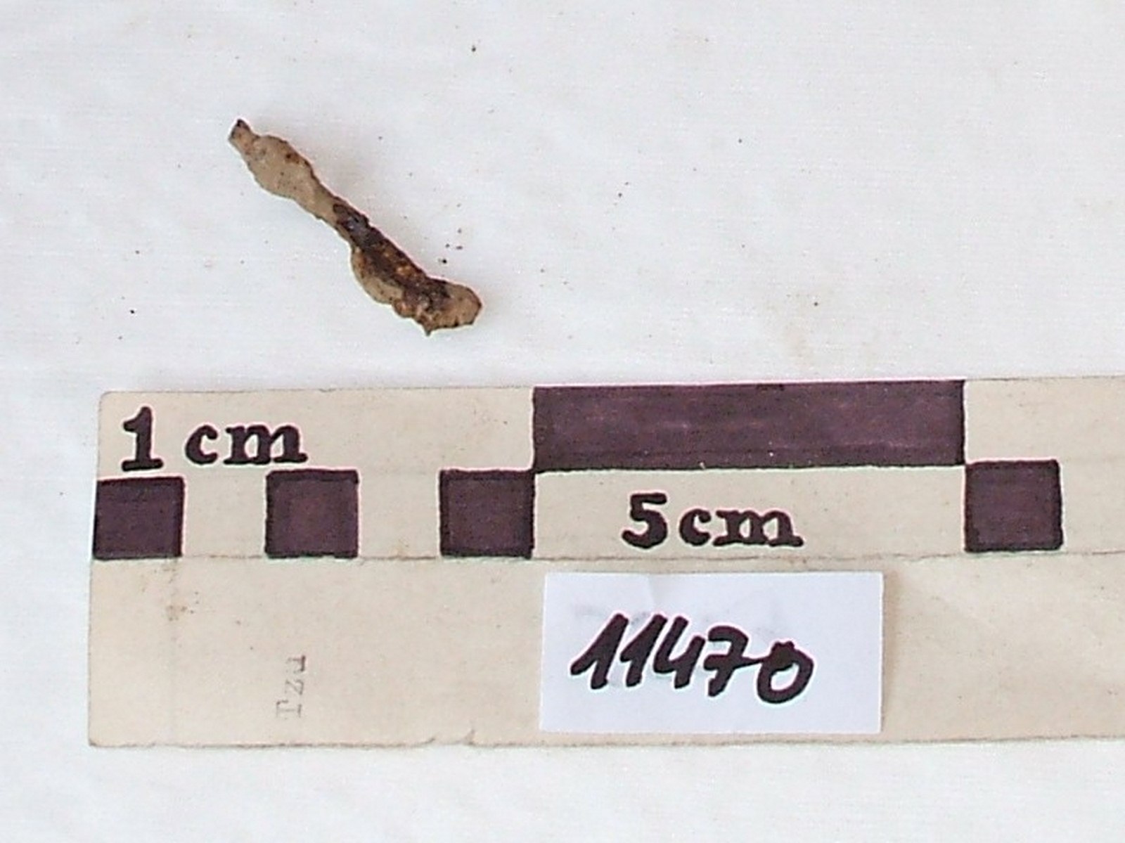 Náhledový obrázek Železný hřeb - 1