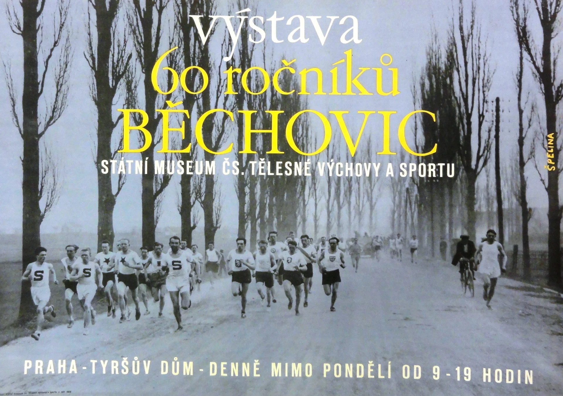 Náhledový obrázek předmětu Výstava MTVS. 60. ročníků Běchovic