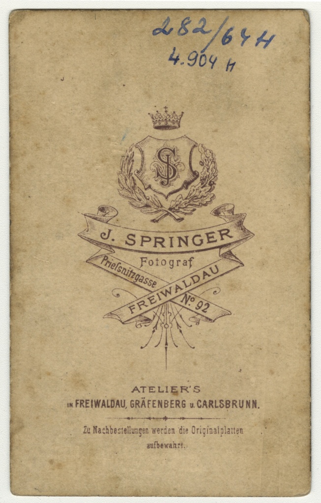 Náhledový obrázek Plánek jesenických pramenů (1865) - 2